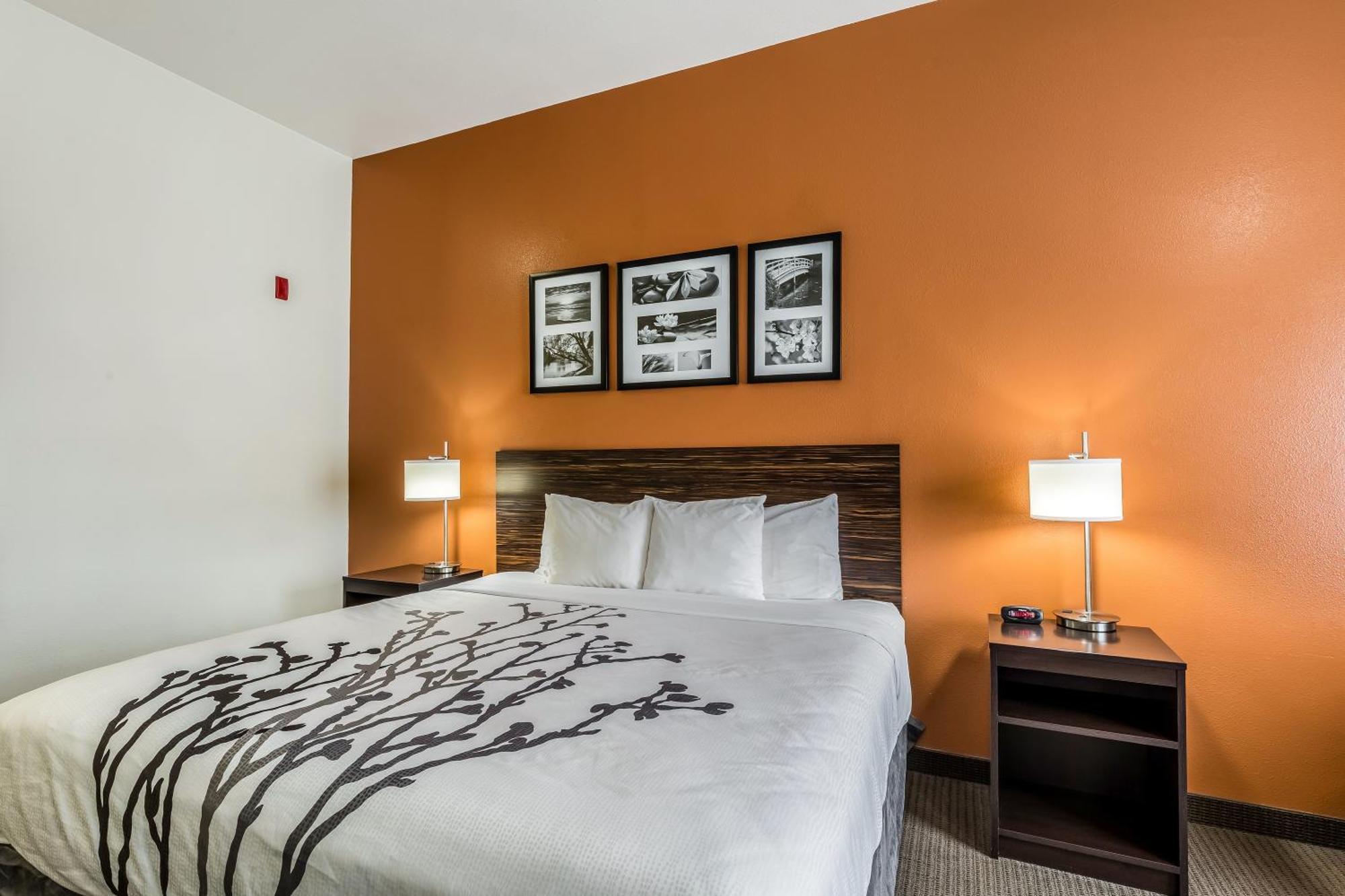 Sleep Inn & Suites Stafford - Sugarland Εξωτερικό φωτογραφία